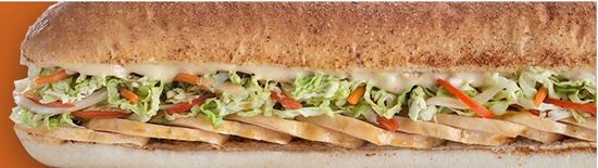 Picture of Subconnection - 6 ft Hoagie